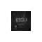 B9CGA B9EGC B9GAB B9*** QFN | IC CHIPSET